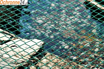 Zambrów Oczko wodne - zabezpieczenie oczka wodnego w ogrodzie Sklep Zambrów